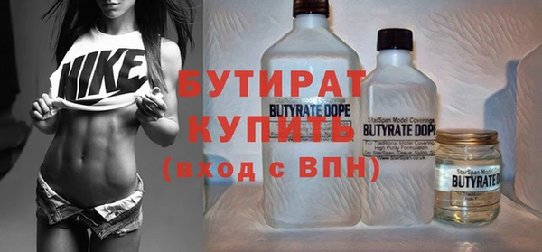 амф Снежногорск