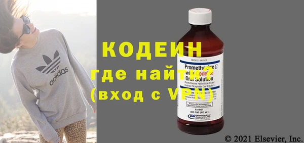 амф Снежногорск