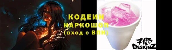 амф Снежногорск