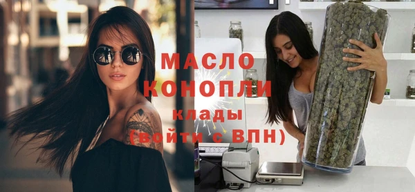 амф Снежногорск