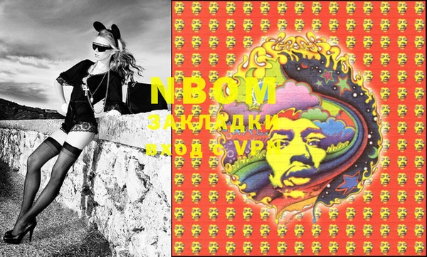 амф Снежногорск